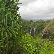 Picture 009